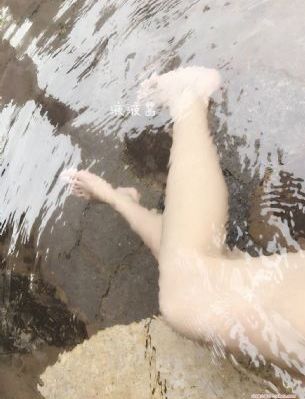 珠帘玉幕电视剧在线观看免费